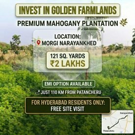 Farm Lands @morgi